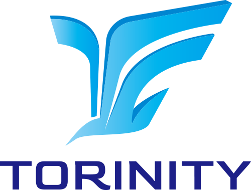 TORINITY SYSTEM